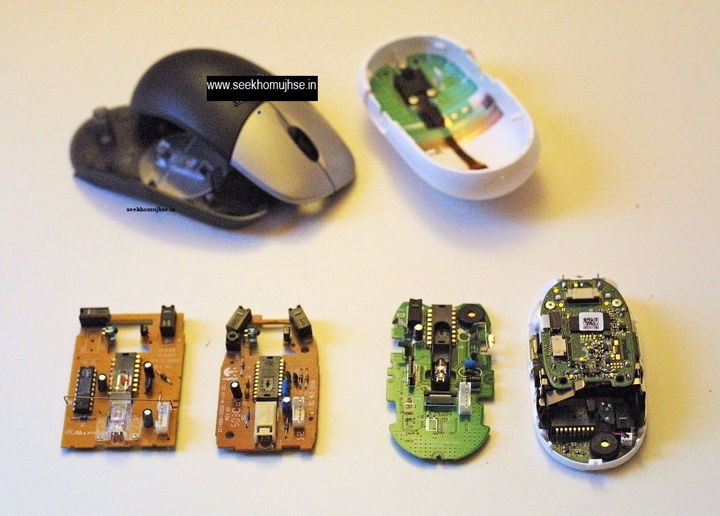 एक माउस का आंतरिक भाग